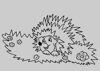 Igel 21