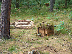 Auswilderungsstation in Klein-Auheim